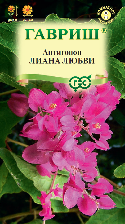 Антигонон Лиана любви 5шт (Гавриш)
