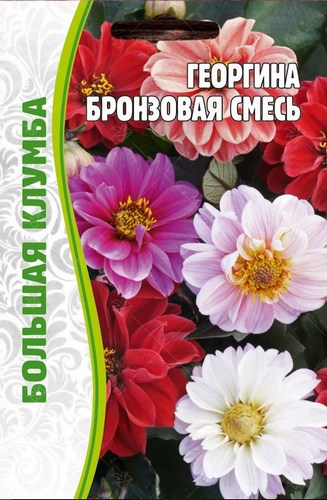 Георгина Бронзовая смесь однолетник Большая клумба 20шт (Ред.Сем)