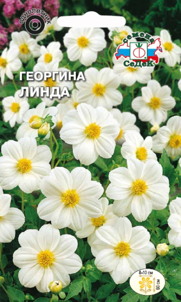 Георгина Линда однолетник 0,15г (Седек)