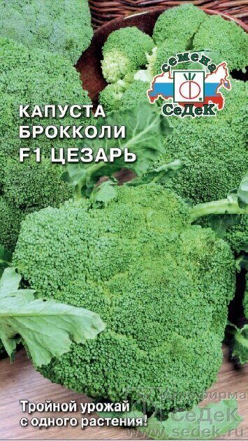 Капуста брокколи Цезарь F1 0,3г (Седек)