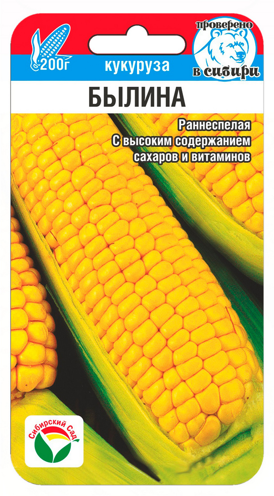 Кукуруза Былина 6шт (Сиб сад)