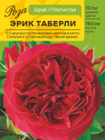 Роза Эрик Таберли (Шраб) С ЦВ.НАКЛЕЙКА 1шт (Сиб сад)