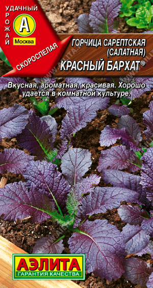 Горчица Красный Бархат салатная 0,5г (Аэлита)