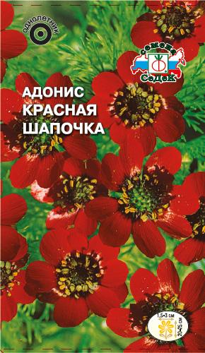 Адонис Красная шапочка однолетник 1г (Седек)