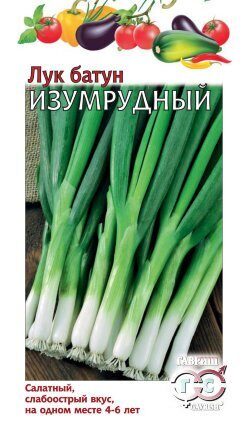 Лук Батун Изумрудный 0,5г (Гавриш)