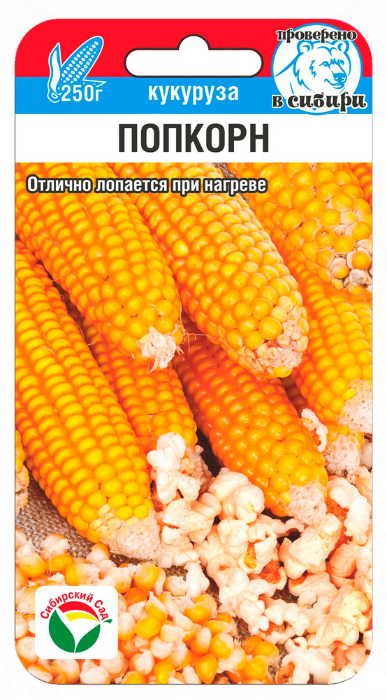 Кукуруза Попкорн 10шт (Сиб сад)