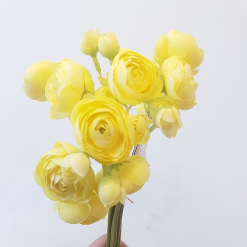 Букет Ранункулюс жёлтый 1шт (Сиб Сад)