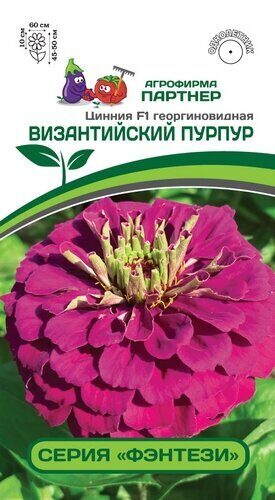 Цинния Византийский пурпур F1 Фэнтези 4шт (Партнер)