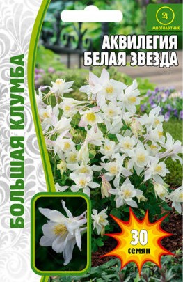Аквилегия Белая Звезда многолетник Большая клумба 30шт (Ред.Сем)