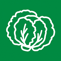 Капуста савойская