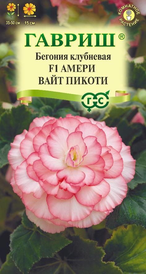 Бегония Амери вайт пикоти F1 клубневая 4шт (Гавриш)