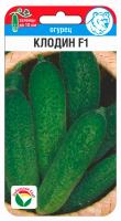 Огурец Клодин F1 5шт (Сиб сад)