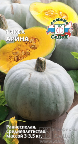 Тыква Арина 2г (Седек)