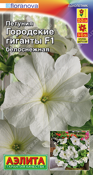 Петуния Городские гиганты F1 Белоснежная крупноцветковая 7шт (Аэлита)