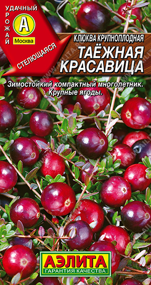 Клюква Таежная красавица крупноплодная Садовая 0,02г (Аэлита)