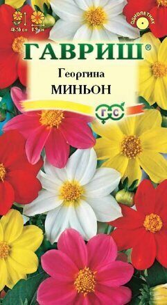 Георгина Миньон смесь однолетник 0,3г (Гавриш)