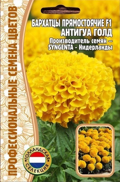 Бархатцы Антигуа Gold F1 прямостоячие (Antigua) (Syngenta) 5 шт. / 12.30 г. Акция!!!