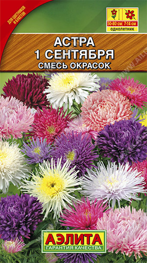 Астра 1 сентября смесь однолетник 0,2г (Аэлита)