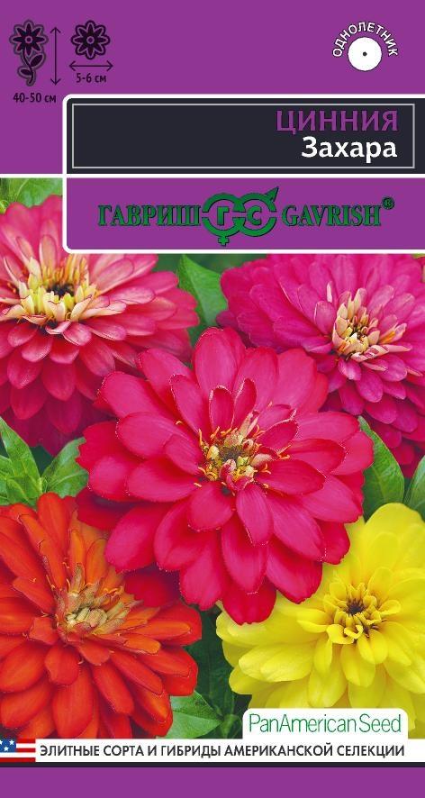 Цинния Захара смесь однолетник 5шт (Гавриш)
