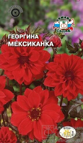 Георгина Мексиканка однолетник 0,2г (Седек)
