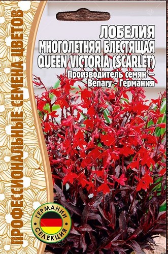 Лобелия Queen Victoria SCARLET многолетник 5шт (Ред.сем)