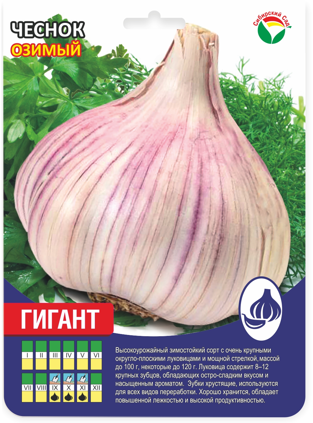 Чеснок Гигант ЗУБОК (УПАКОВКА 300гр) (Сиб сад)