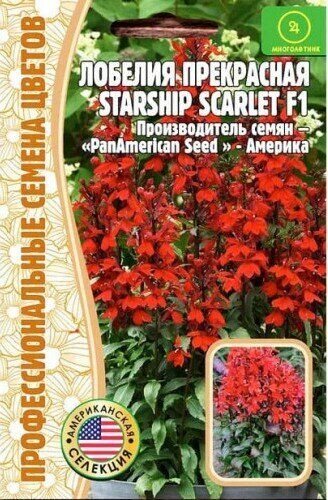 Лобелия Starship Scarlet F1 прекрасная многолетник 3шт (Ред.сем)