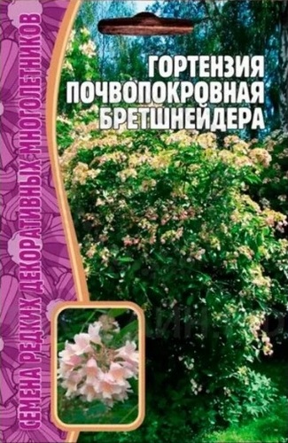 Гортензия Бретшнейдера почвопокровная 20шт (Ред.Сем)