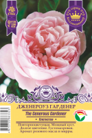 Роза Дженероуз Гарденер (Плетистая) 1шт (Сиб сад)