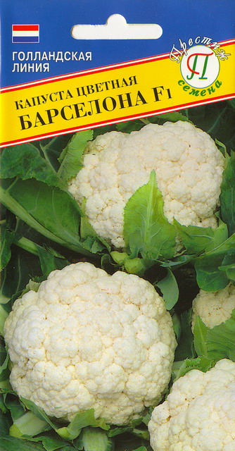 Капуста цветная Барселона F1 10шт (Престиж)