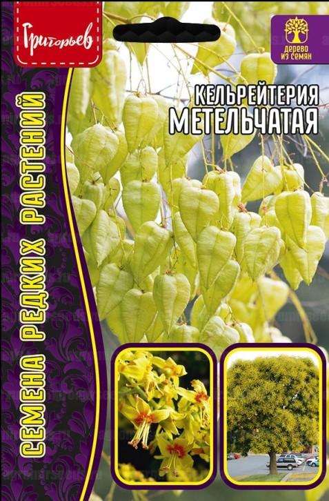 Кельрейтерия Метельчатая 5шт (Ред.Сем)