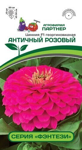Цинния Античный розовый F1 Фэнтези 4шт (Партнер)