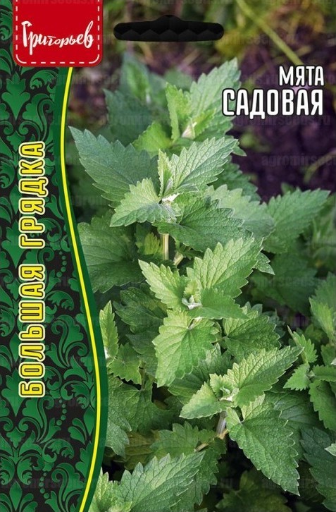 Мята Садовая  0,05г (Ред.Сем)