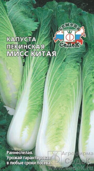 Капуста пекинская Мисс Китая 0,3г (Седек)