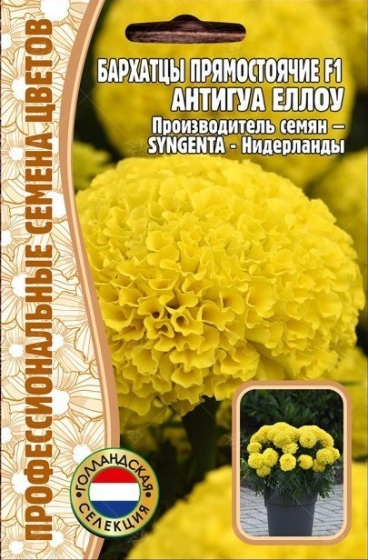 Бархатцы Антигуа Жёлтые F1 прямостоячие (Antigua Yellow) (Syngenta) 5 шт. / 12.30 г.