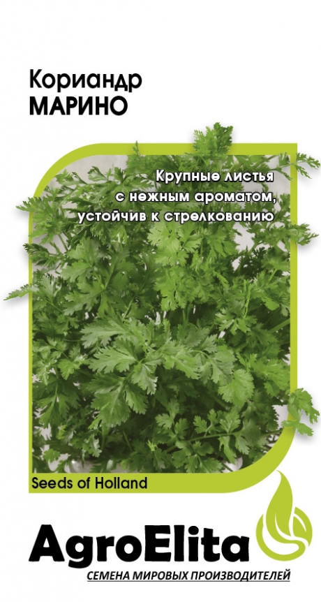 Кориандр Марино 1г (Агроэлита)