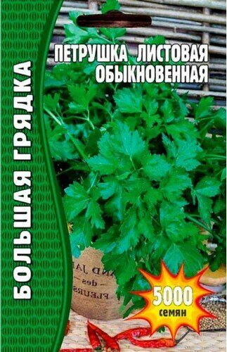 Петрушка листовая Обыкновенная Большая грядка 3500 шт (Ред.сем)