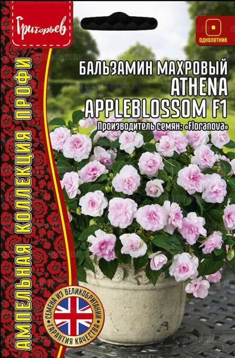 Бальзамин Уоллера Athena Appleblossom F1 ампельный однолетник 4шт (Ред.Сем)