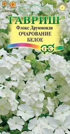 Флокс Друм Очарование белое однолетник 0,05г (Гавриш)