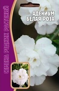 Адениум Белая Роза 3шт (Ред.Сем)