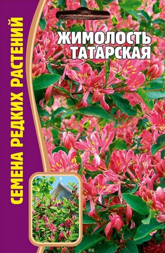 Жимолость Татарская многолетник 15шт (Ред.семена)