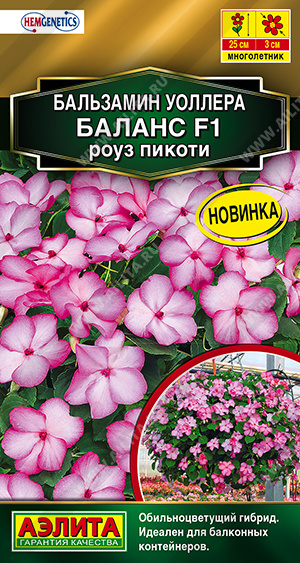 Бальзамин Баланс F1 роуз пикоти однолетник 7шт (Аэлита)