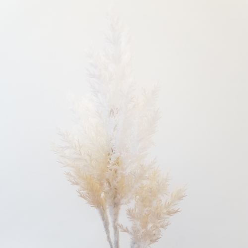 Ветка для декора белая 1шт (Сиб Сад)