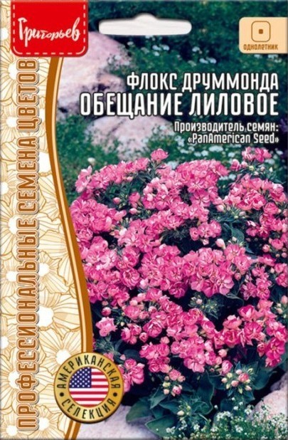 Флокс Обещание Лиловое махровый однолетник 5шт (Ред.сем)