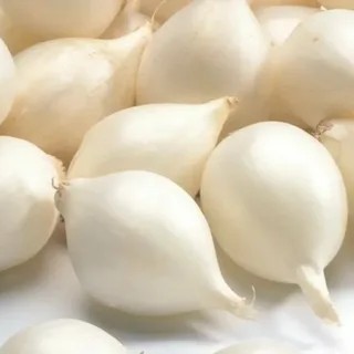 Лук севок Белый орел (белый) 1 упаковка (Россия)