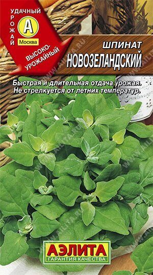 Шпинат Новозеландский 1г (Аэлита)