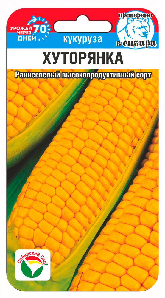 Кукуруза Хуторянка 6шт (Сиб сад)
