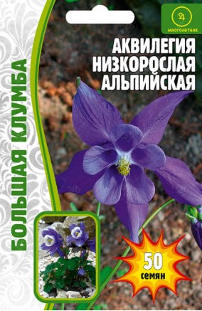 Аквилегия Альпийская низкорослая многолетник Большая клумба 50шт (Ред.Сем)
