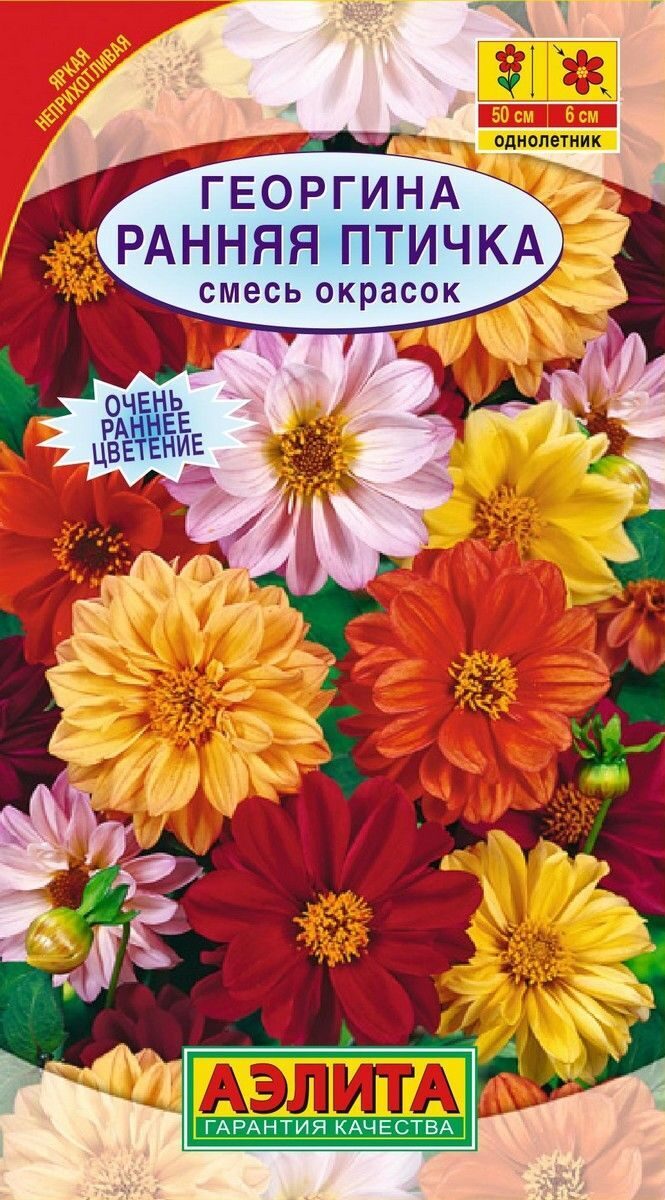Георгина Ранняя птичка смесь 0,3г (Аэлита)