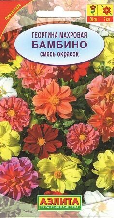 Георгина Бамбино смесь однолетник 7шт (Аэлита)